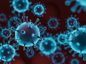 包茎が引き起こす衛生・感染症リスクとは？医師が解説する健康への影響